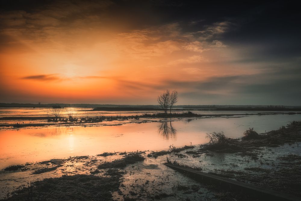 Photograph by Budyta Dariusz