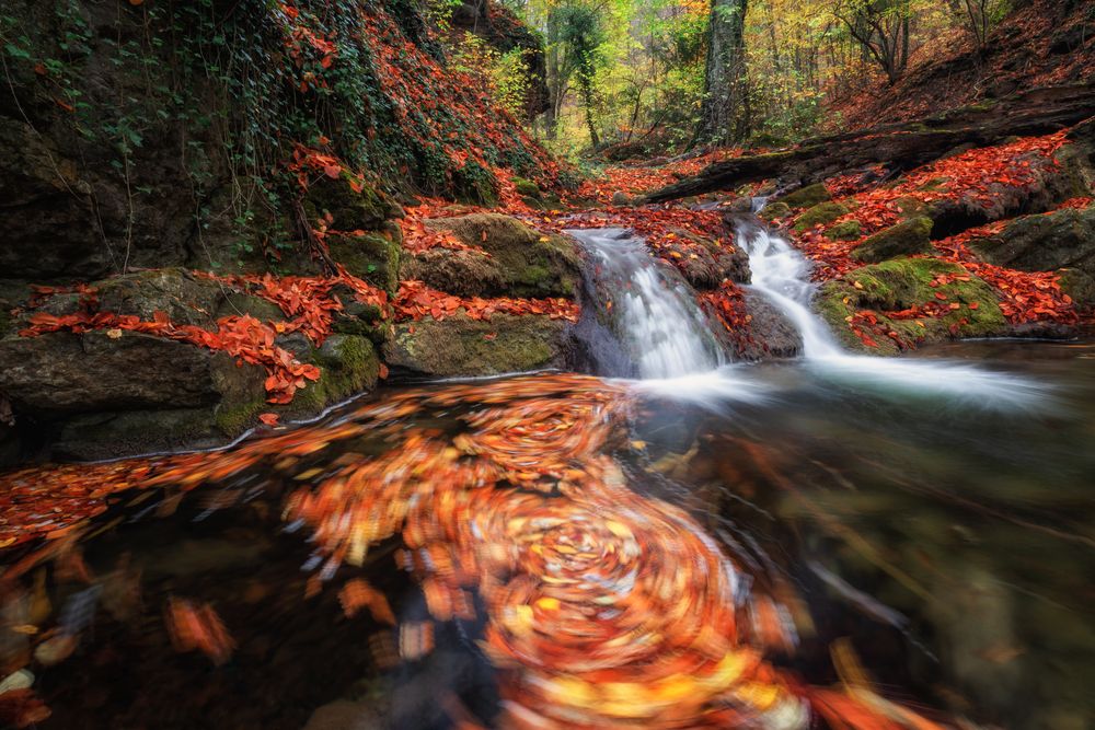 Photograph by Дмитренко Екатерина