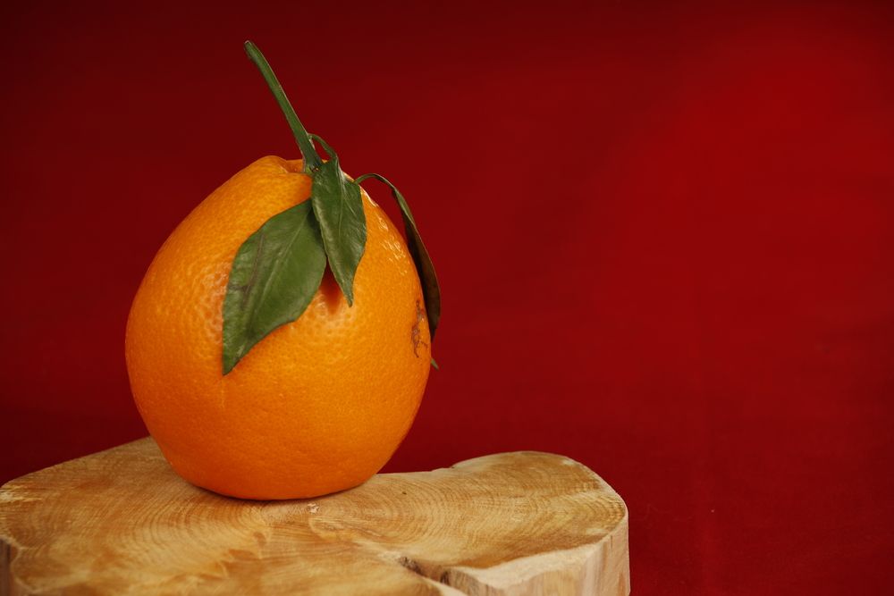 Photograph by Sergei Paramonov