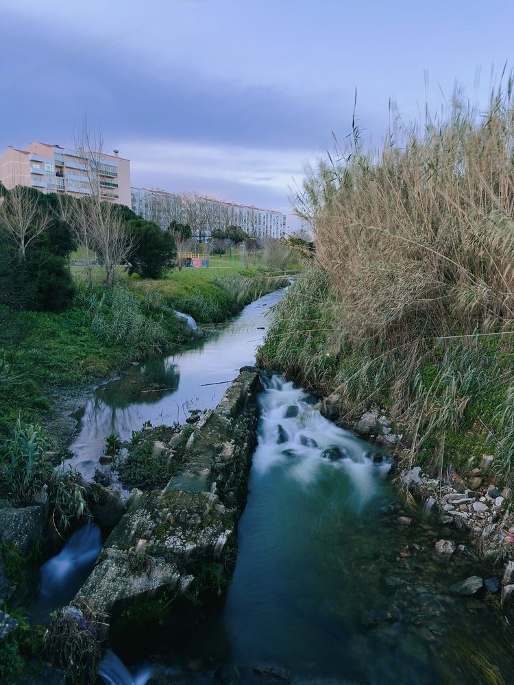 Photograph by Halyna Khomyk
