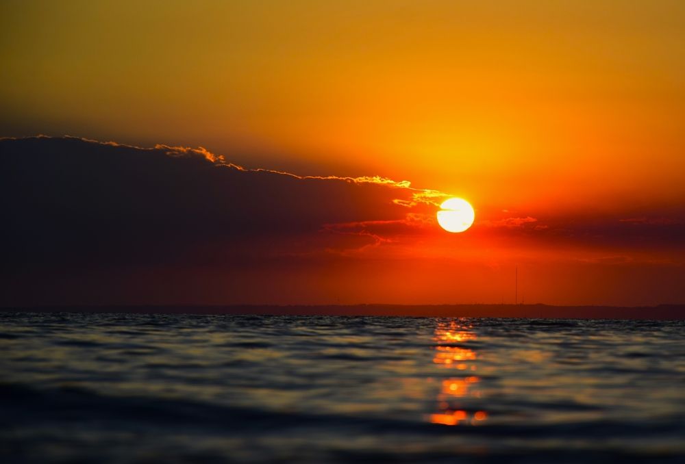 Фотография автора Альбина Хвастунова