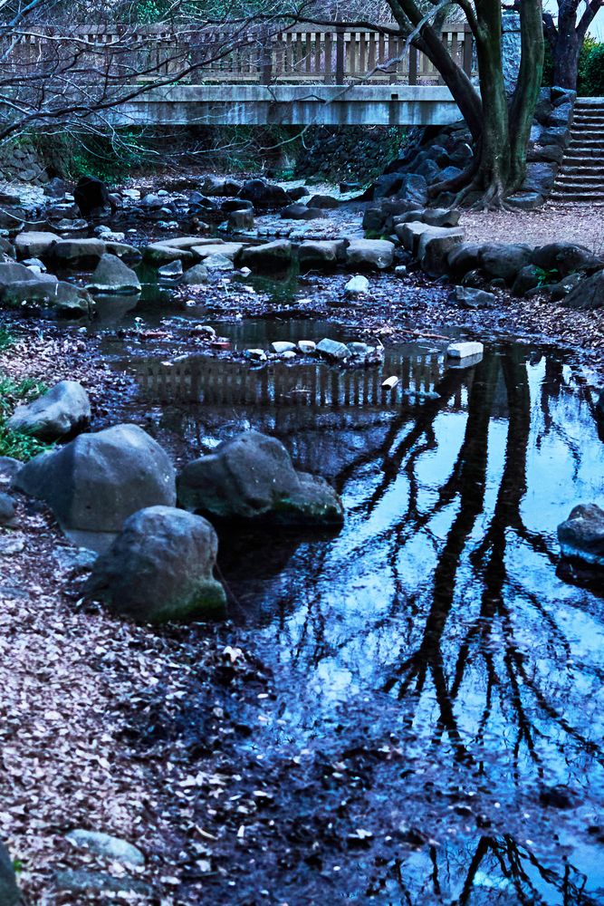 Photograph by Shoho Hiroshi