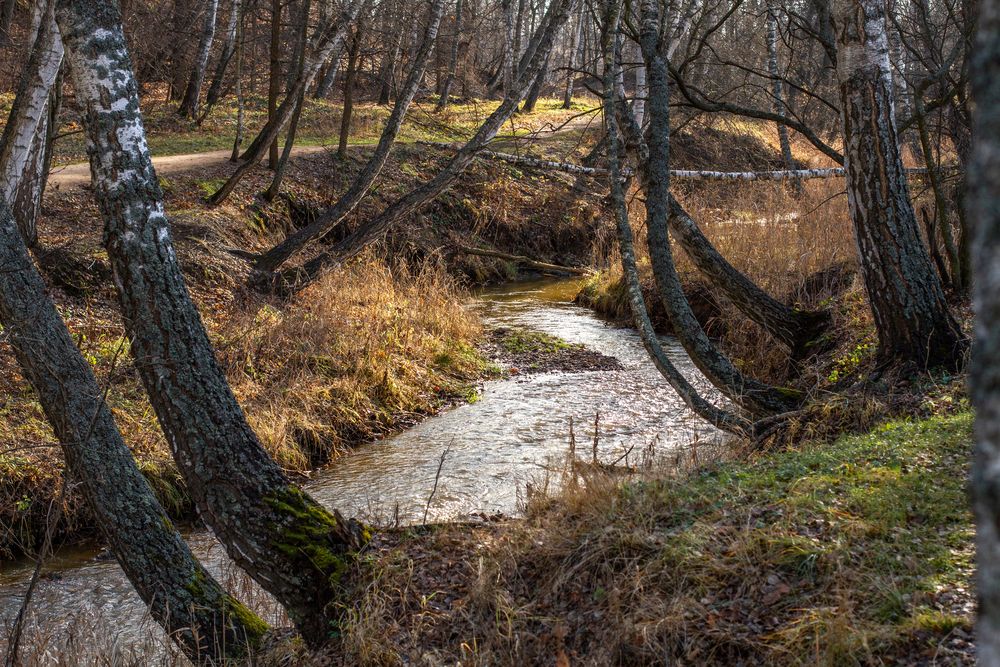 Photograph by Елена