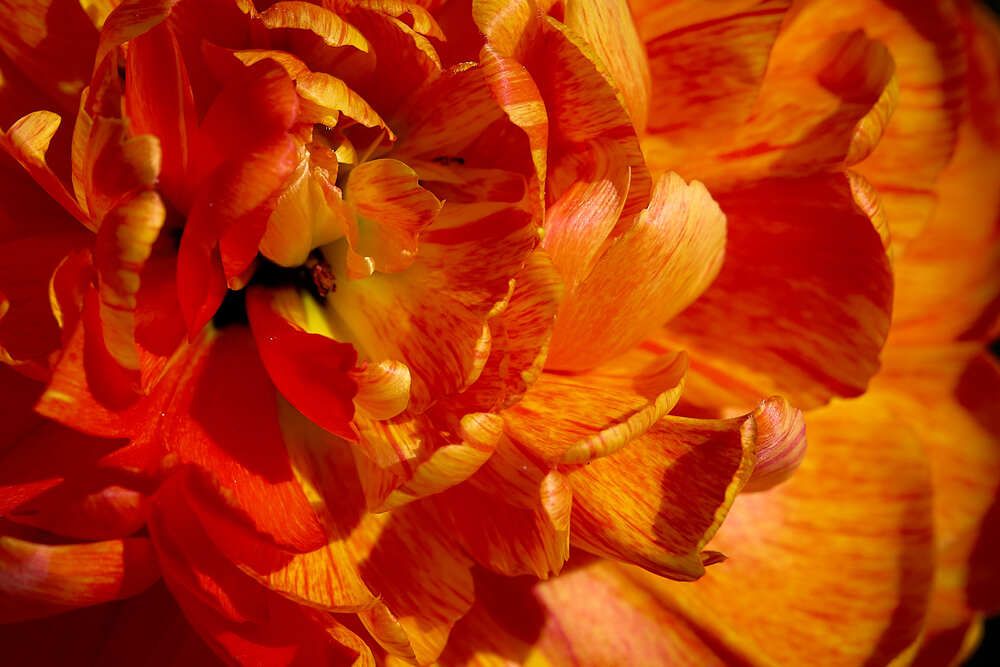 Photograph by Valentin Korotky-Adamenko