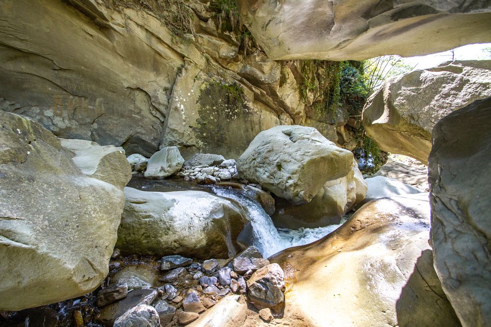 Photograph by Елена