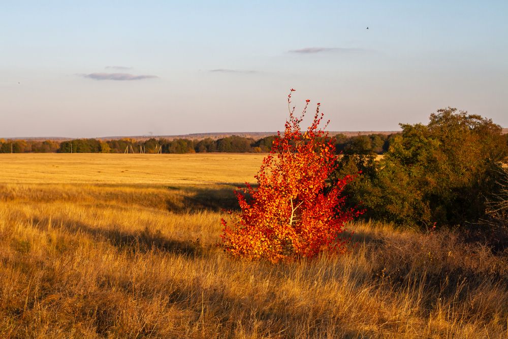 Photograph by Елена