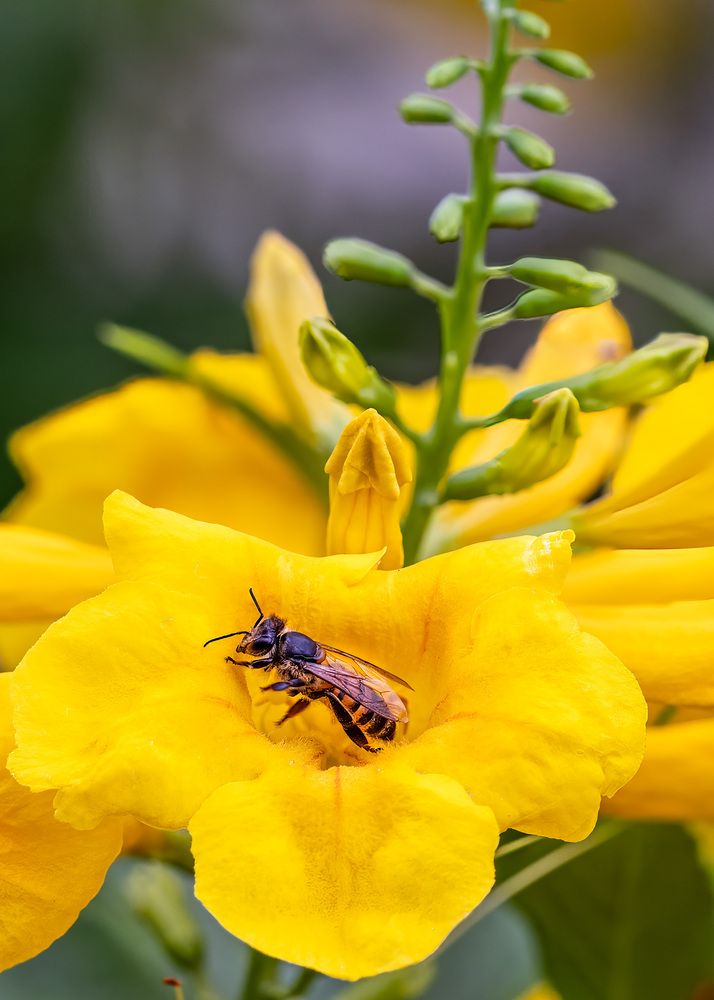 Photograph by Rose-Anne Reyes