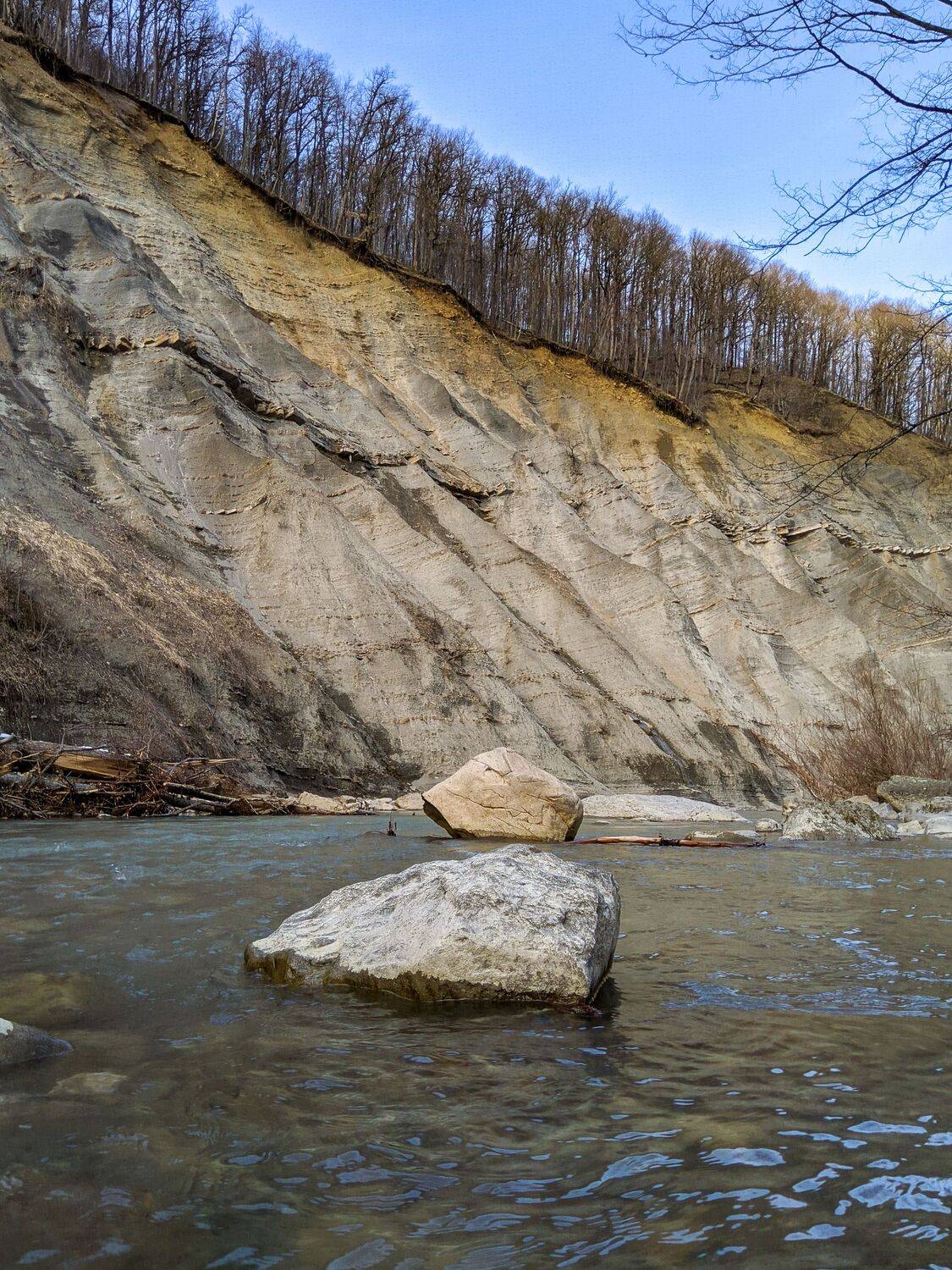 Фотография #13431533