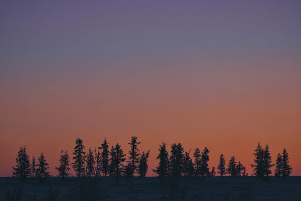 Photograph by Дмитрий Гривцов