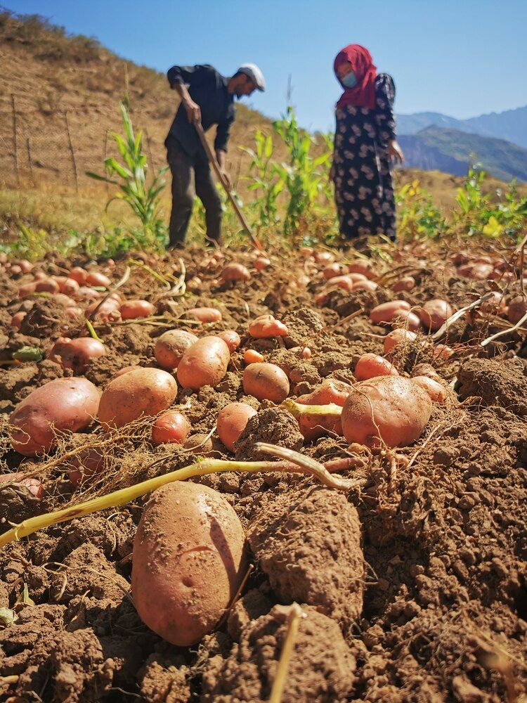 In the mountains of Tajikistan