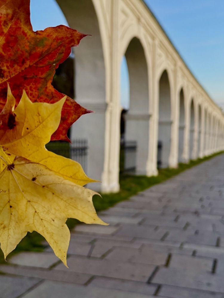 Осенняя парочка