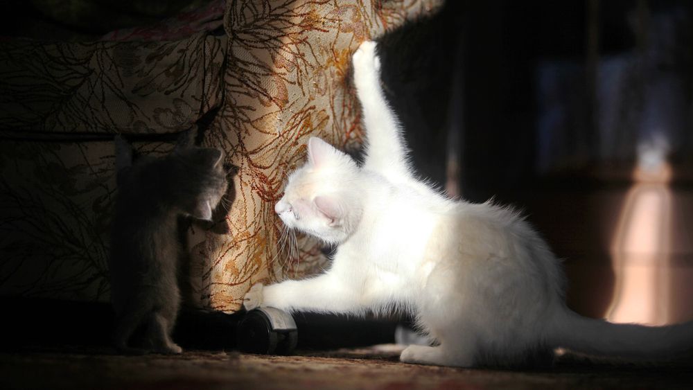 Photograph by Илья К