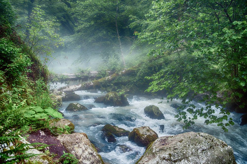 Photograph by Артём Самусенко