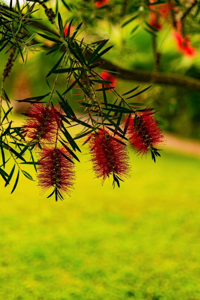 Photograph by Сауия Назмутдинова