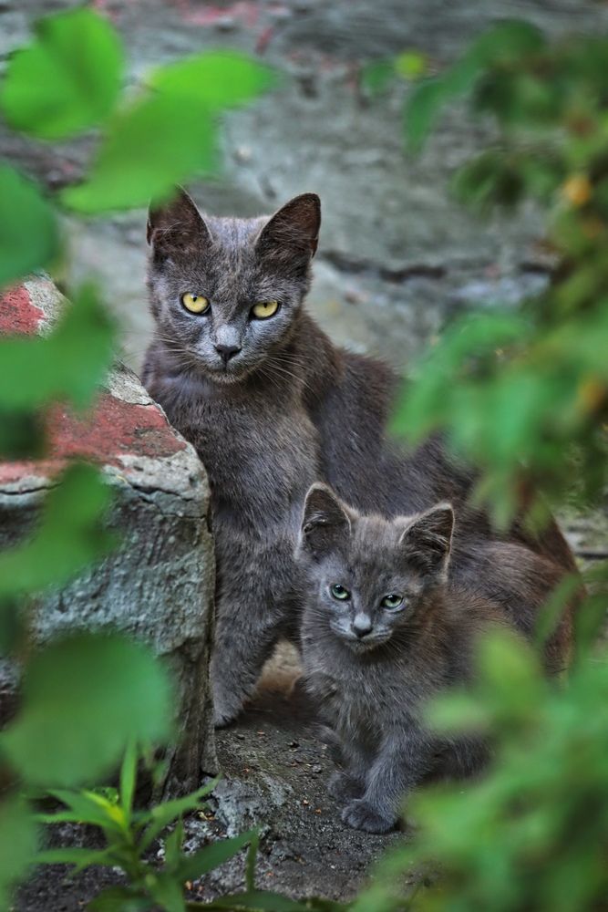 Photograph by Татьяна Бравая