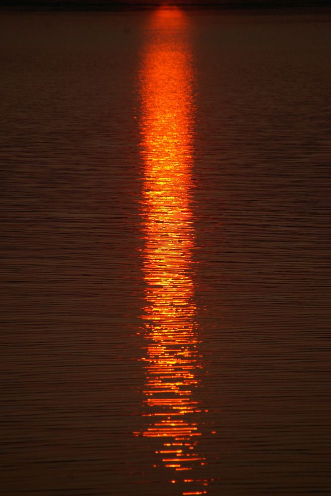 Photograph by Sergey Tkachev