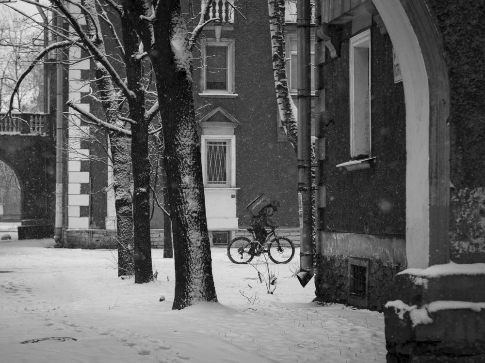 Photograph by zan zibovsky