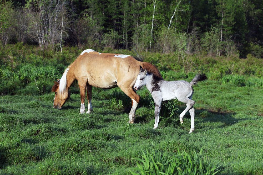 Жарким летним днем.