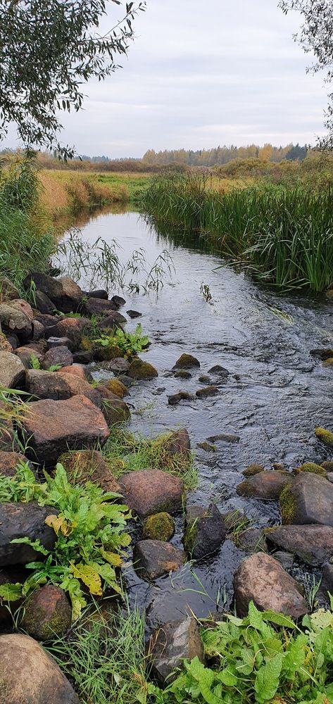 Photograph by Надежда Кудрявцева