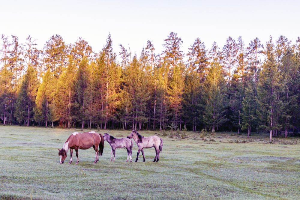 Осенним утром.