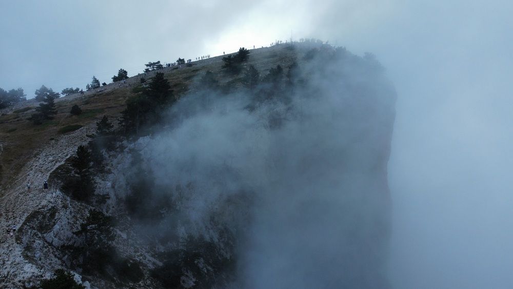 С высоты птичьего полёта