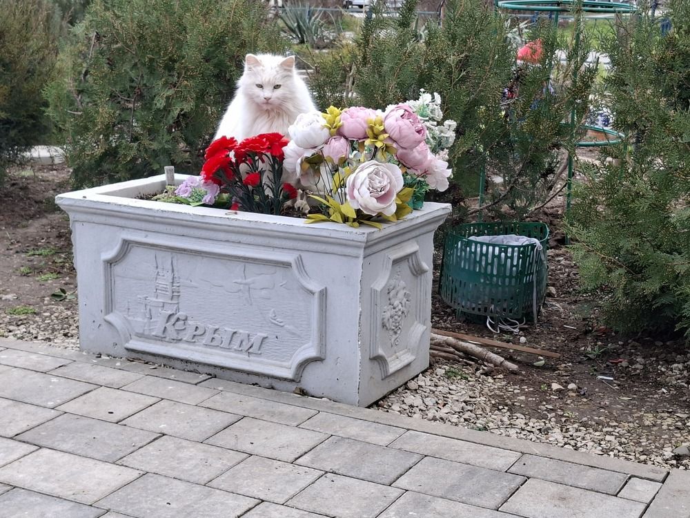 Photograph by Анатолий Дячина