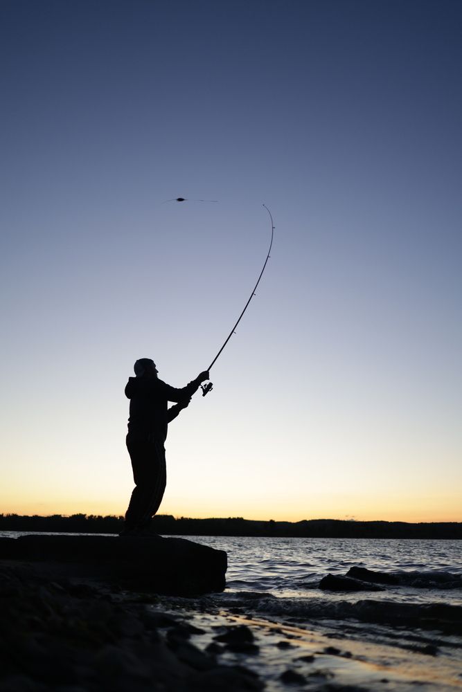 Photograph by Светлана Шибаршина