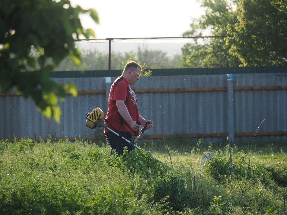 Photograph by Светлана Шибаршина