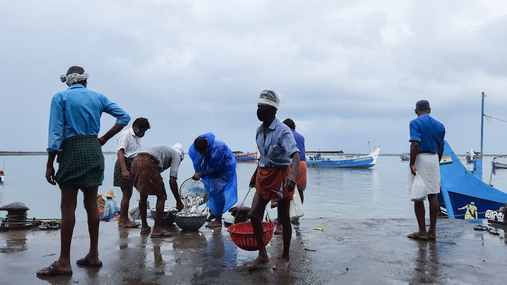 Photograph by Jaseem