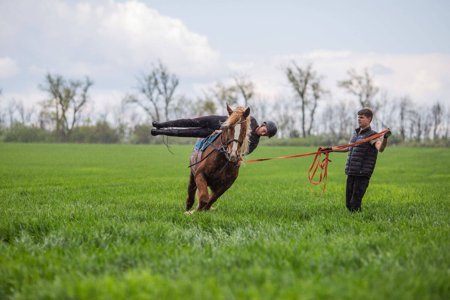 Photo #13432008