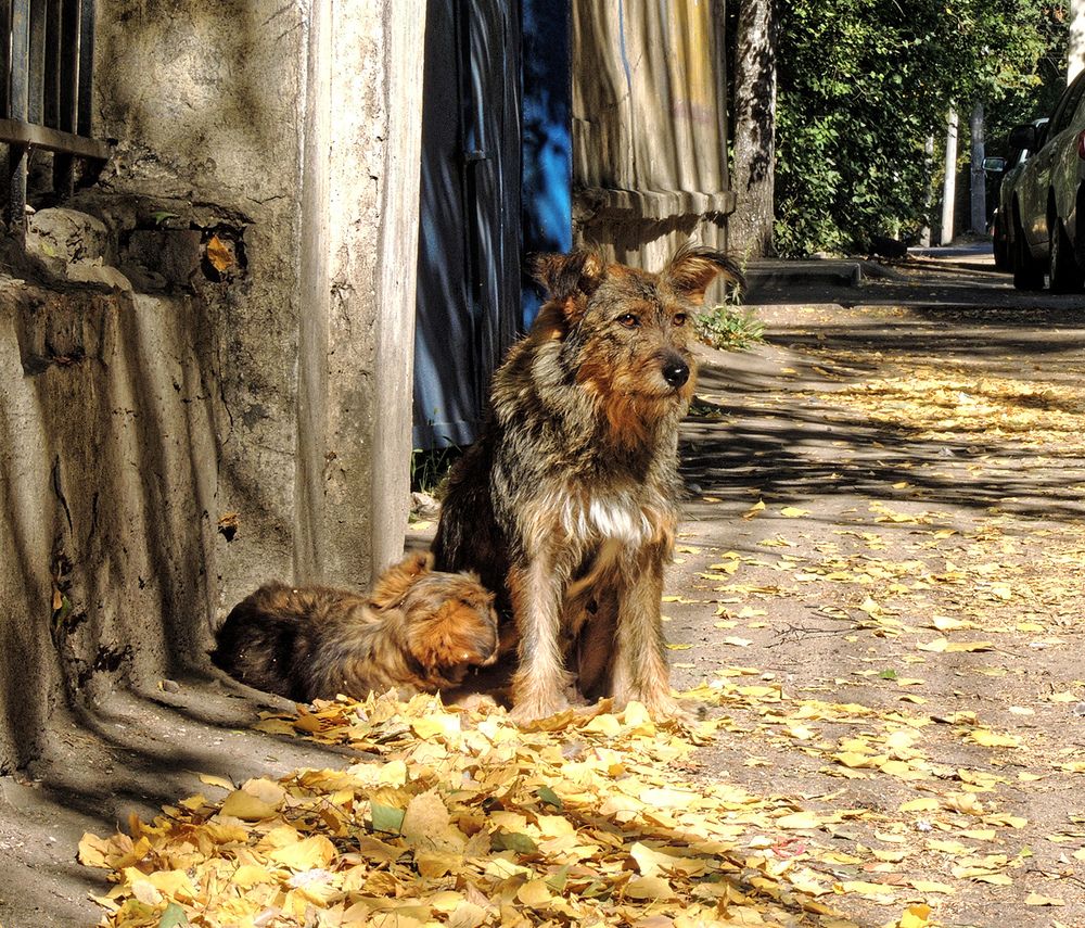 Photograph by Павел Кулинич