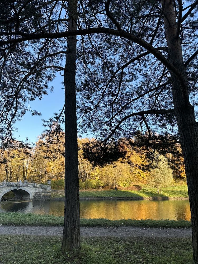 Photograph by Марина Дервиз