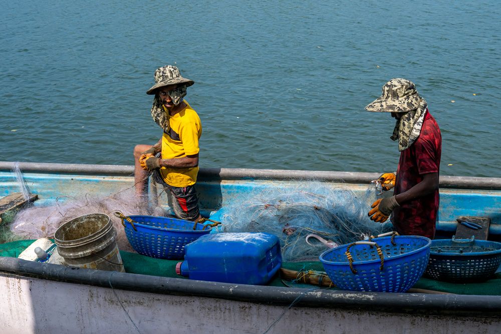 Фотография автора Dimitri Bakhtadze