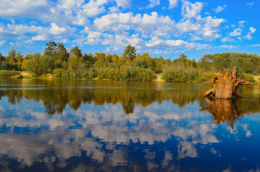 Photograph by Mityukova Ludmila
