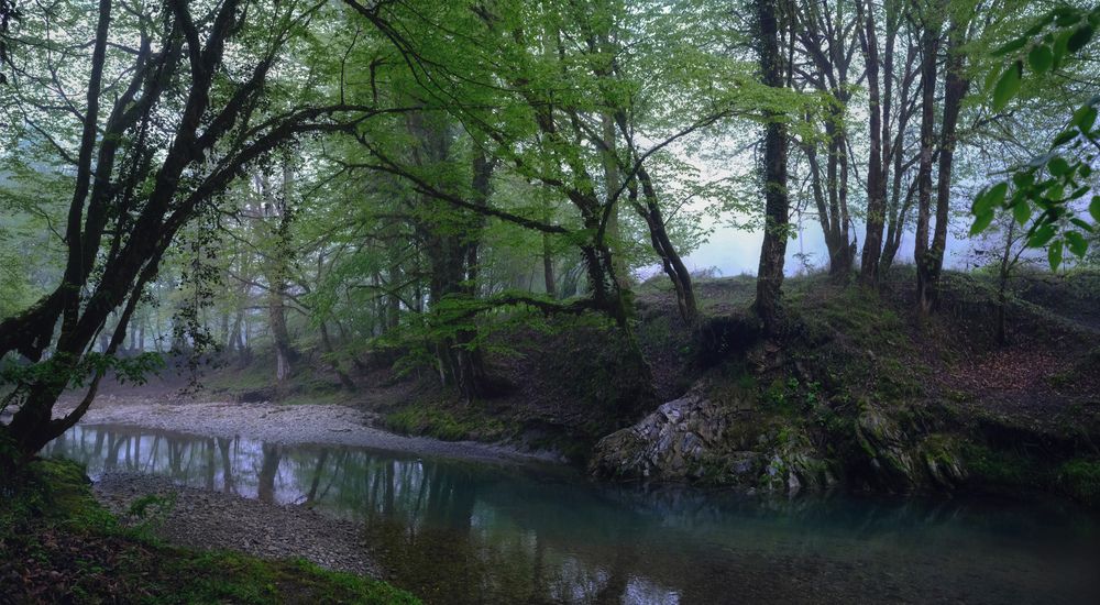 Фотография автора Алексей Бордуков