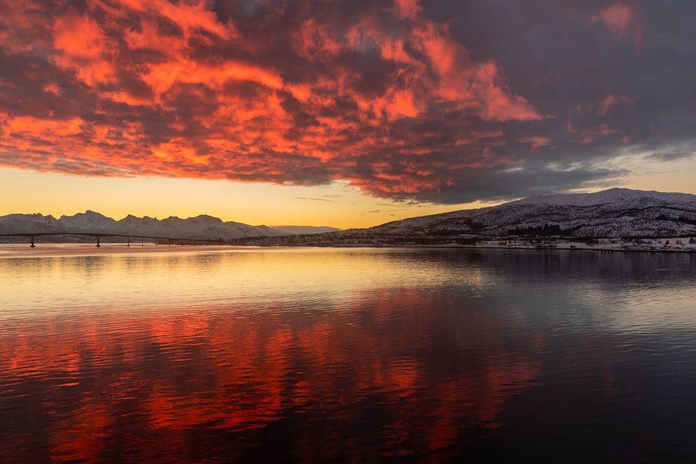 Photograph by Евгения Чех