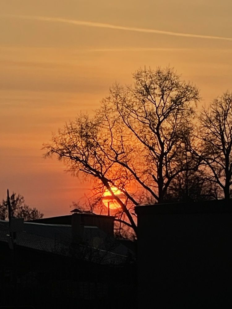 Photograph by Елизавета Станкевич
