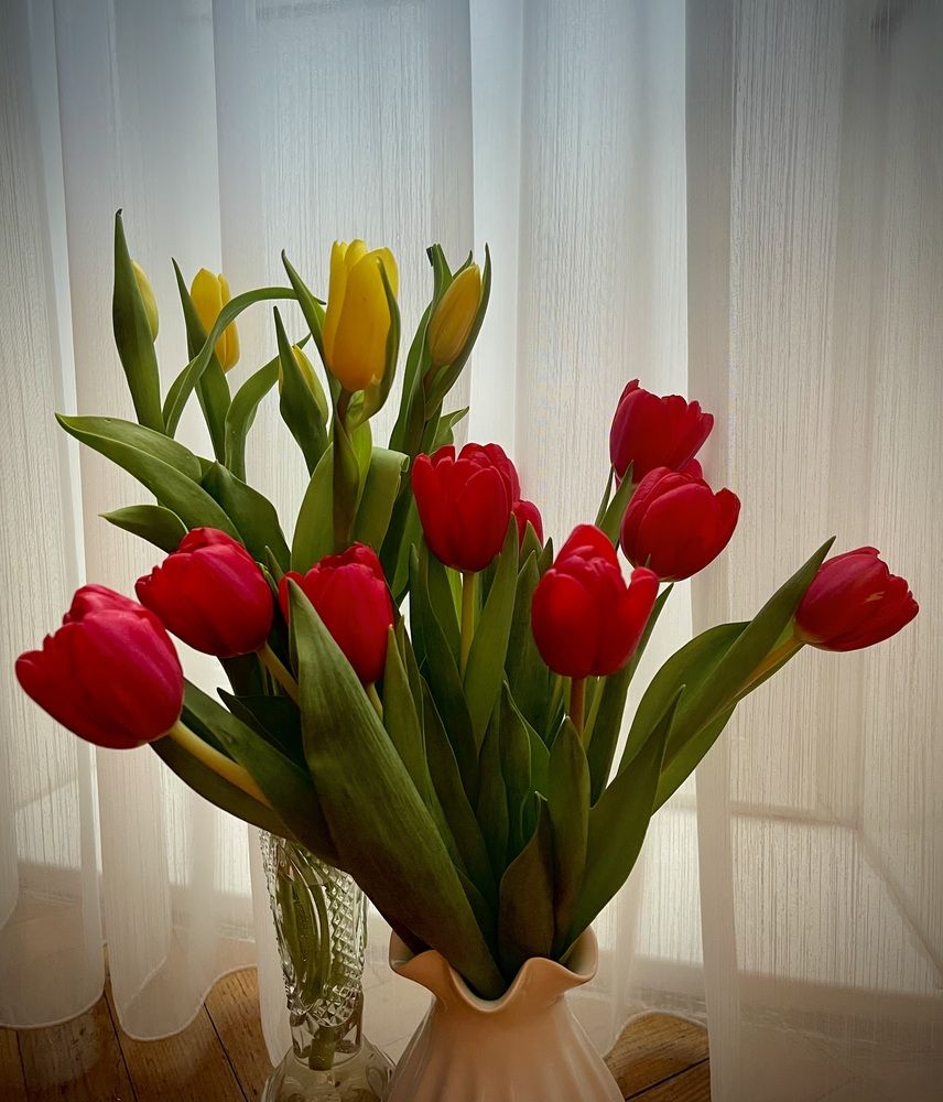 Photograph by Елизавета Станкевич