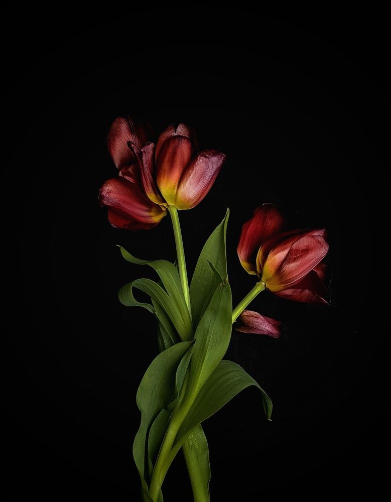 Photograph by Оксана Соболева