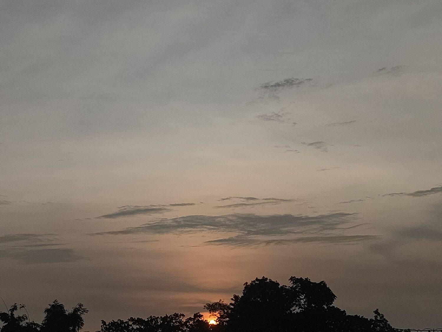 Photo #13432173