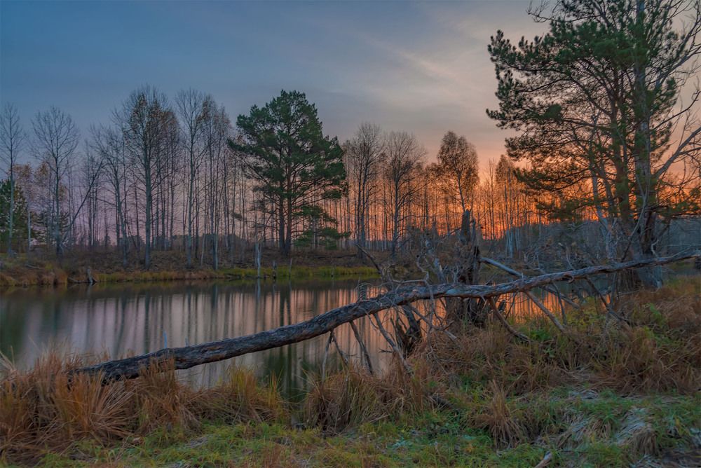 Photograph by Пушкин Сергей