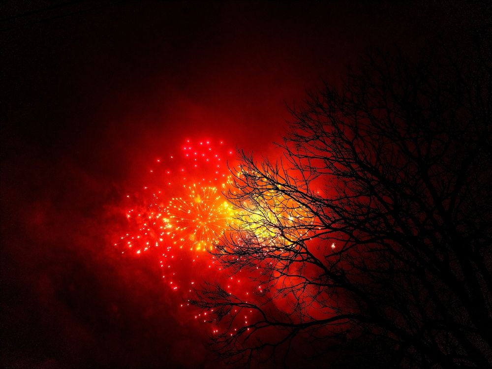 Photo #13432205
