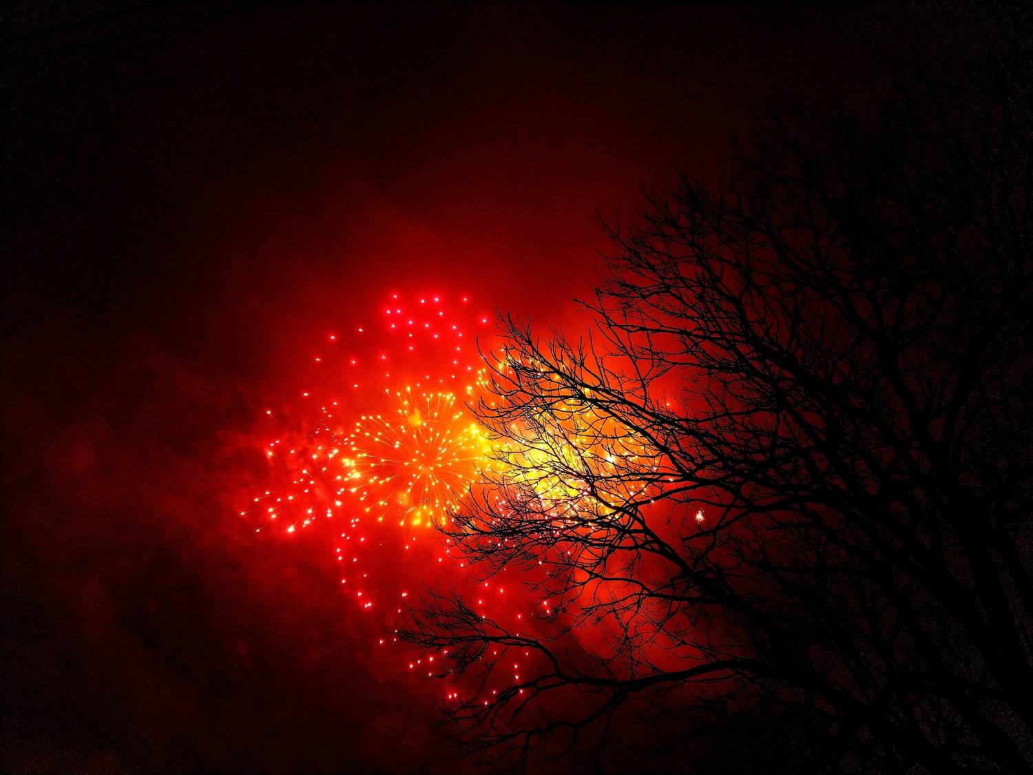 Photo #13432205