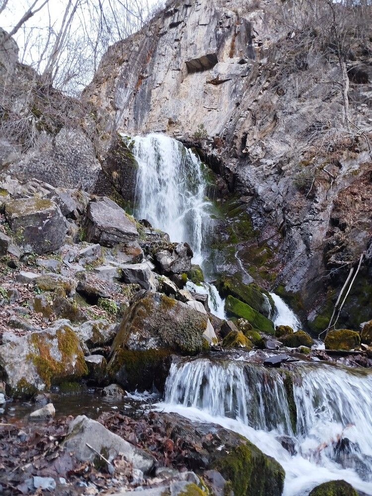 Photograph by Александр Гремячкин