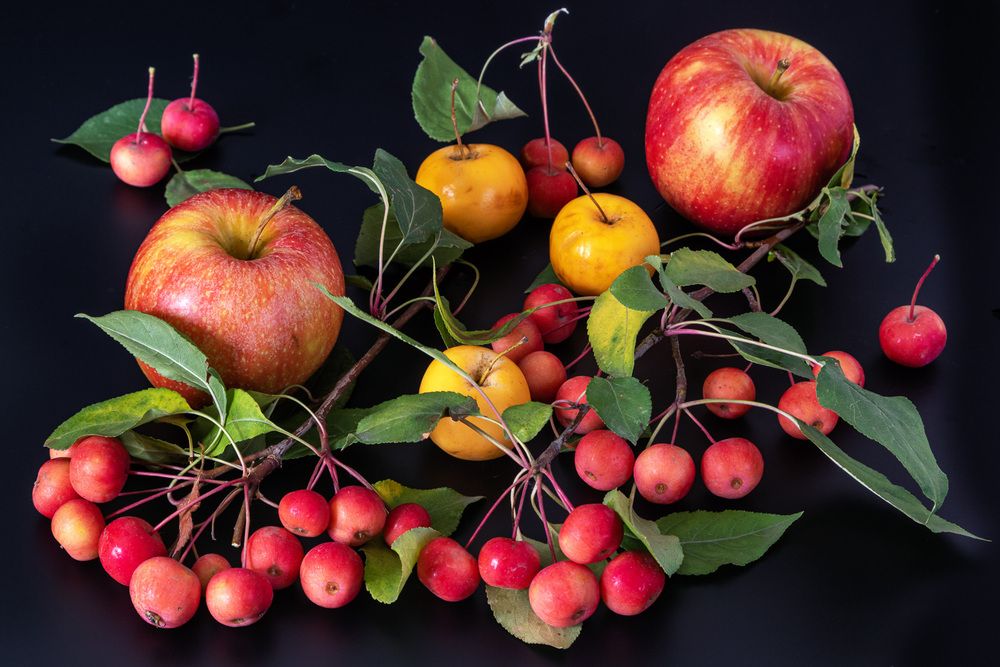 Photograph by Георгий Кулаковский