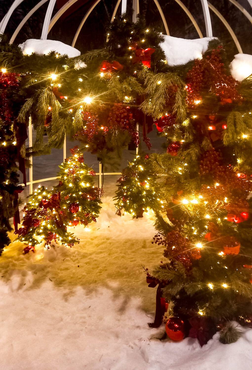 Фотография #13432336