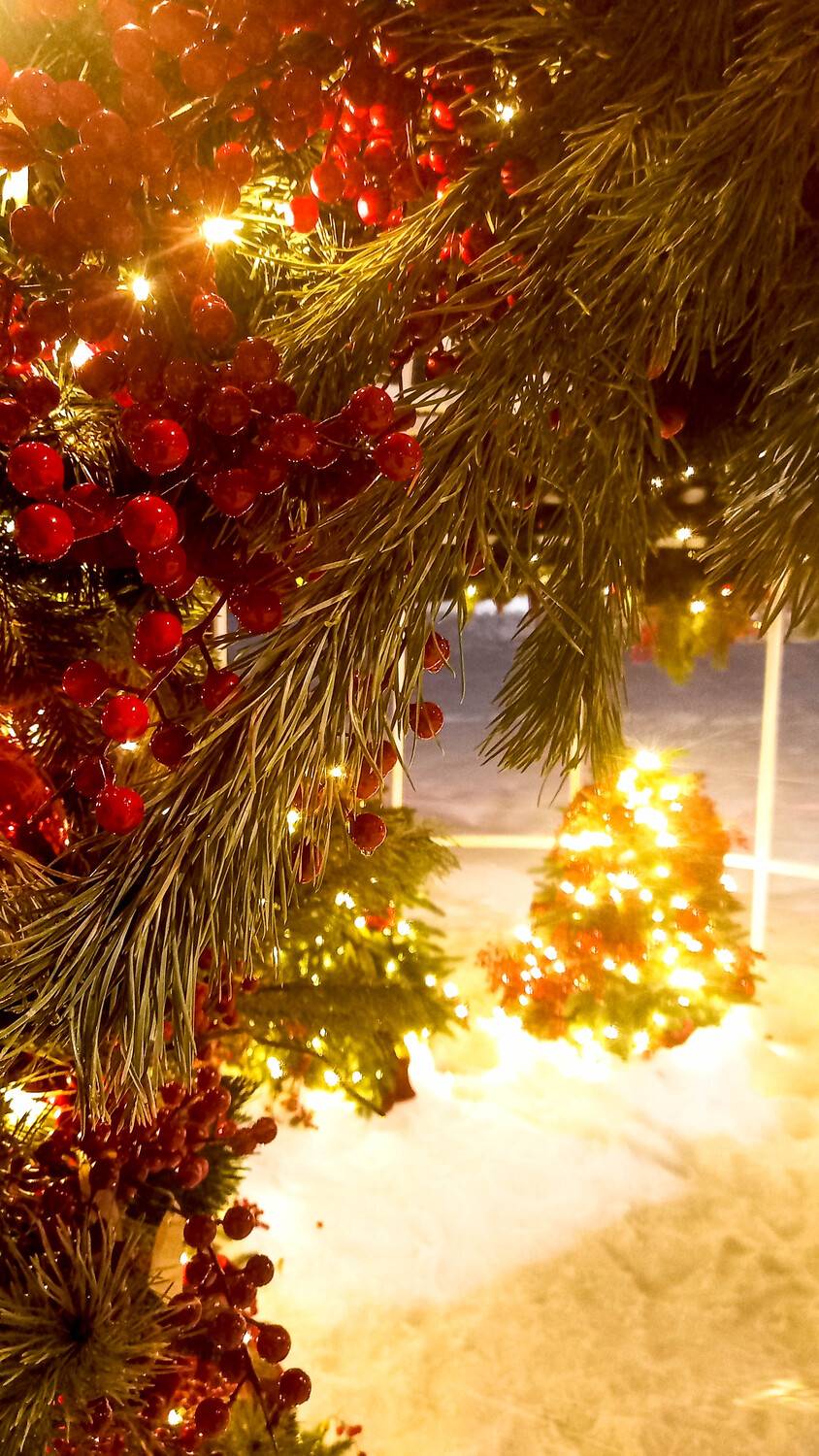 Фотография #13432339