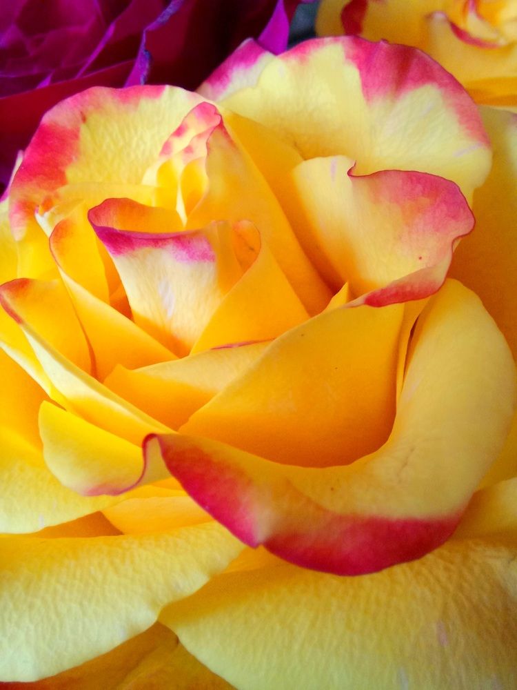 Photograph by Ольга Юрченко