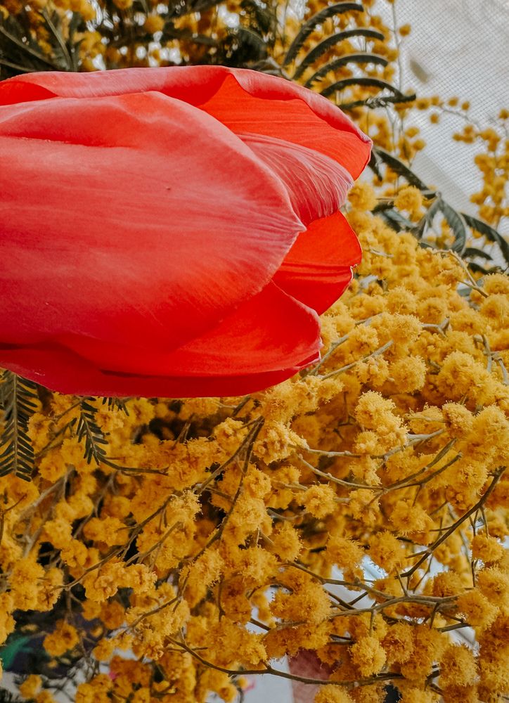 Photograph by Виктория Лаур