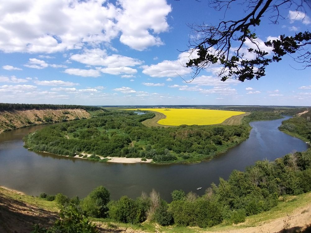Фотография автора Анастасия Шафоростова